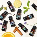 Organic Rosemary Essential Oil for Hair and Skin
