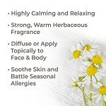 Organic German Chamomile Essential Oil – 2.5 mL