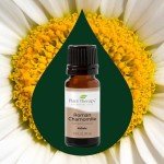 Roman Chamomile Essential Oil 100% Pure 10 mL