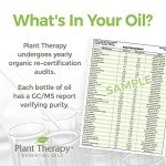 Organic German Chamomile Essential Oil – 2.5 mL