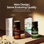 Organic Roman Chamomile Essential Oil for Skin