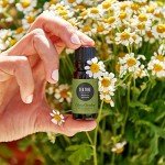 Pure Tea Tree Essential Oil - 10ml Undiluted