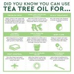 Australian Tea Tree Oil - Skin & Hair Care 2oz