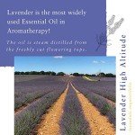 High Altitude Lavender Essential Oil - 10ml