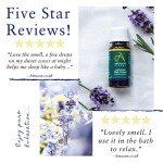 High Altitude Lavender Essential Oil - 10ml
