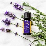 Organic French Lavender Essential Oil - 10ml