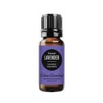 Pure French Lavender Essential Oil - 10 ml