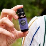 Pure French Lavender Essential Oil - 10 ml