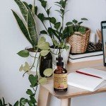 Grapefruit Essential Oil - 100% Pure & Natural