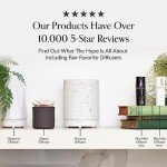 Eden's Garden Pink Grapefruit Essential Oil 10ml