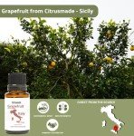 Grapefruit Essential Oil – 100% Pure Citrus Essence