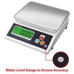 Precision Kitchen Scale with Large Display