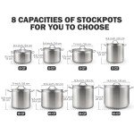 20 Quart Stainless Steel Stock Pot with Lid
