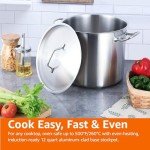 Handmade 12QT Stainless Steel Stock Pot with Lid