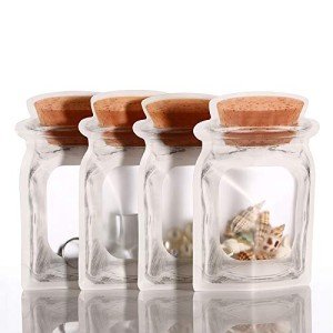 20 Clear Cork Front Zipper Bags - Food Storage
