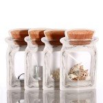20 Clear Cork Front Zipper Bags - Food Storage