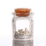 20 Clear Cork Front Zipper Bags - Food Storage