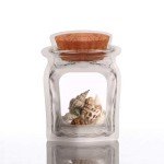 20 Clear Cork Front Zipper Bags - Food Storage