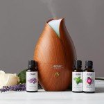 Patchouli Essential Oil - 100% Pure Aromatherapy