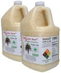 RSPO Certified Sustainable Palm Oil - 2 Gallons