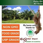 Sustainable Palm Oil - 1 Quart, RSPO Certified