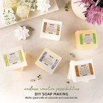 Melt and Pour Soap Base Sampler - 7 lbs