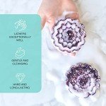 Handmade Soap Base Sampler Kit with Molds