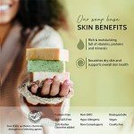 Pifito Melt and Pour Soap Base Sampler: 7 Assorted Bases