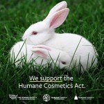 Organic Avocado Oil - 100% Pure & Natural