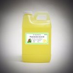 Organic Watermelon Seed Oil for Fresh Skin Care