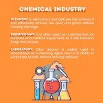 Handcrafted 99.5% Denatured 200 Proof Alcohol Spray - 32oz