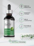 Green Tea Extract Liquid - Alcohol-Free Tincture