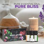 Pure Aroma Essential Oils Gift Set - 6 Pack