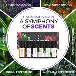 Pure Aroma Essential Oils Gift Set - 6 Pack