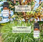 Organic Essential Oils Gift Set in Wood Box