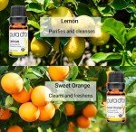 Organic Essential Oils Gift Set in Wood Box