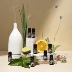Top 5 Organic Essential Oils for Soap & Candles