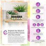 Essential Oils Set: Lavender, Lemon, Orange, Peppermint, Tea Tree, Rosemary