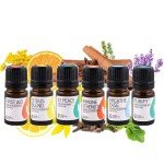 Essential Oils Set: Lavender, Lemon, Orange, Peppermint, Tea Tree, Rosemary