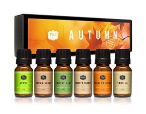 Autumn Fragrance Oil Set for Soap and Candle Making
