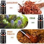 Men's Essential Oils Set - Aromatherapy Fragrance Kit