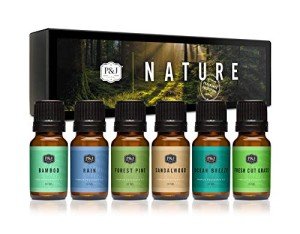 Nature-Inspired Set of 6 Fragrance Oils