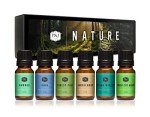 Nature-Inspired Set of 6 Fragrance Oils