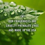 Summer Set of 6 Fragrance Oils for Soapmaking