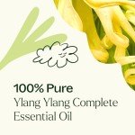 Ylang Ylang Essential Oil for Aromatherapy 10 mL