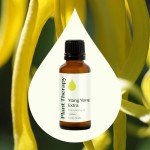 Ylang Ylang Essential Oil 30 mL - Pure & Therapeutic