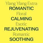 Ylang Ylang Essential Oil 30 mL - Pure & Therapeutic