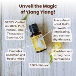Ylang Ylang Essential Oil for Aromatherapy - 15ml