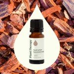 Pure Australian Sandalwood Essential Oil for Aromatherapy