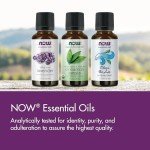 NOW Lavender Essential Oil 16-Ounce, Vegan, Child Resistant